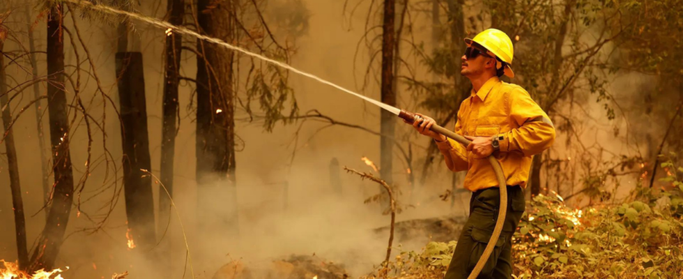 Waldbrand in kalifornischem Park zerstoert mehr als 350000 Hektar und