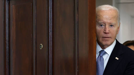 Wie die Biden Kampagne Stueck fuer Stueck zerfiel — World