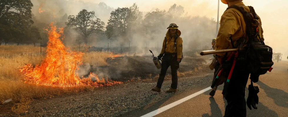 Wuetender Waldbrand in Kalifornien weitet sich auf ueber 1500 Quadratkilometer