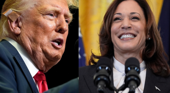 „Linksradikaler Verrueckter Donald Trump nimmt Kamala Harris bei seiner