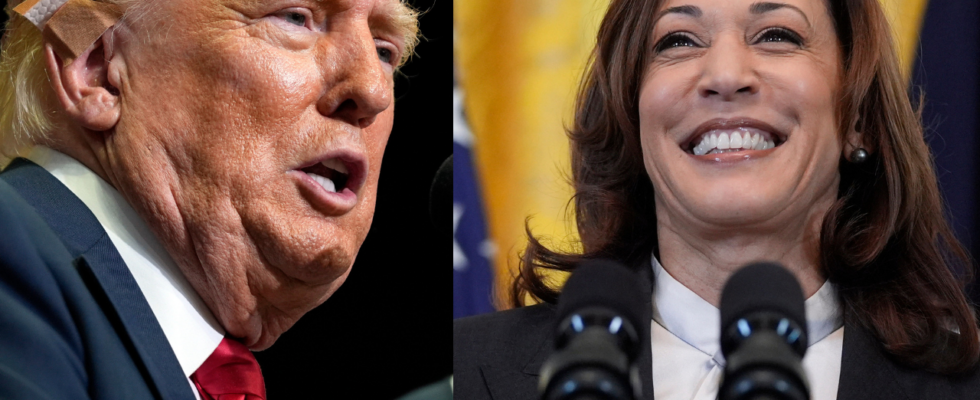 „Linksradikaler Verrueckter Donald Trump nimmt Kamala Harris bei seiner