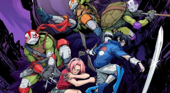 „Sofortkauf Fans von Naruto und Teenage Mutant Ninja Turtles feiern