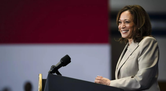 „Wir werden gewinnen Vizepraesidentin Kamala Harris beruhigt besorgte demokratische Spender