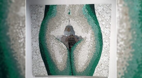 Das ist das ueberzeugendste Vajazzle das ich je gesehen habe