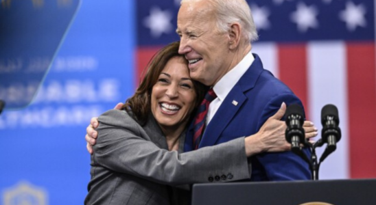 Dem Convention Maureen Dowd wird gehasst weil sie Bidens Kamala Aenderung