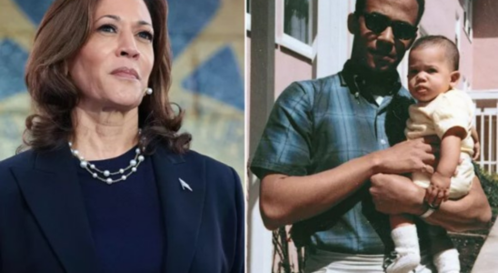 Donald J Harris Als Kamala Harris‘ Vater 2019 ihre „Identitaetspolitik