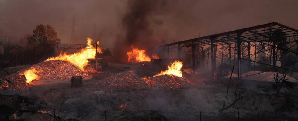 Ein Toter bei griechischem Waldbrand in Athener Vororten