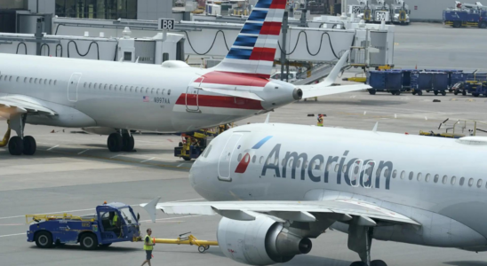 Frau verklagt American Airlines wegen sexueller Belaestigung waehrend des Fluges