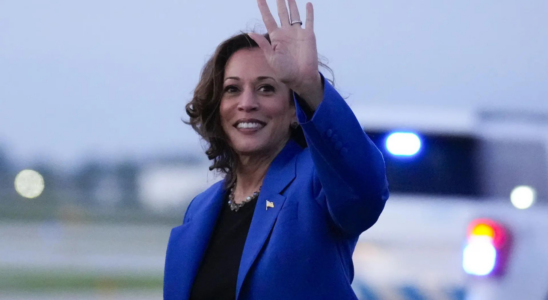 Grenzmauer von Kamala Harris „Wenn sie eine Grenzmauer bauen will