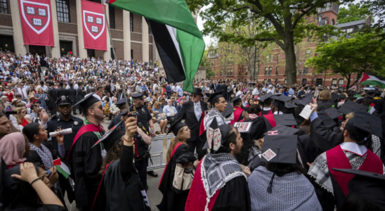 Harvard legt Klage wegen Belaestigung und Einschuechterung eines Professors bei