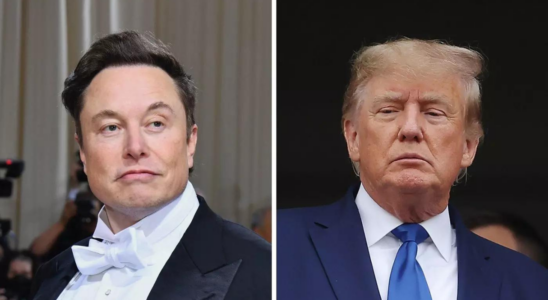 Interview mit Donald Trump Elon Musk verspricht „Unterhaltung garantiert vor