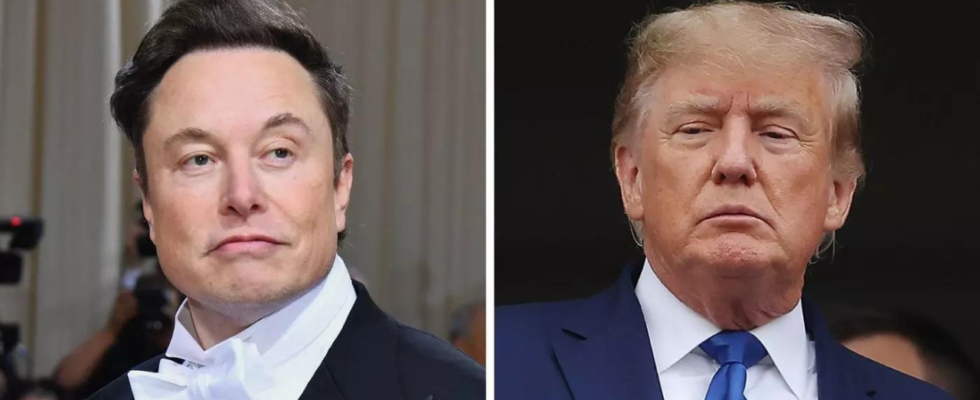 Interview mit Donald Trump Elon Musk verspricht „Unterhaltung garantiert vor