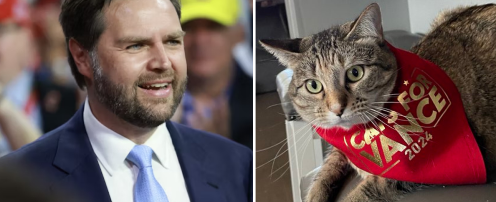 JD Vance sorgt mit seinem Beitrag „Cats for Vance 2024