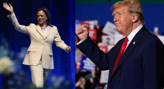 Kamala Harris gewinnt an Boden Neue Umfrage zeigt veraenderte Dynamik