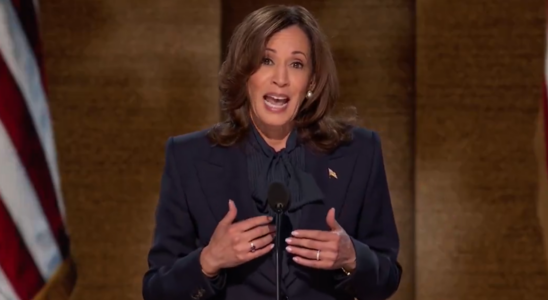 Kamala Harris nimmt offiziell die Nominierung der Demokraten an „Eine