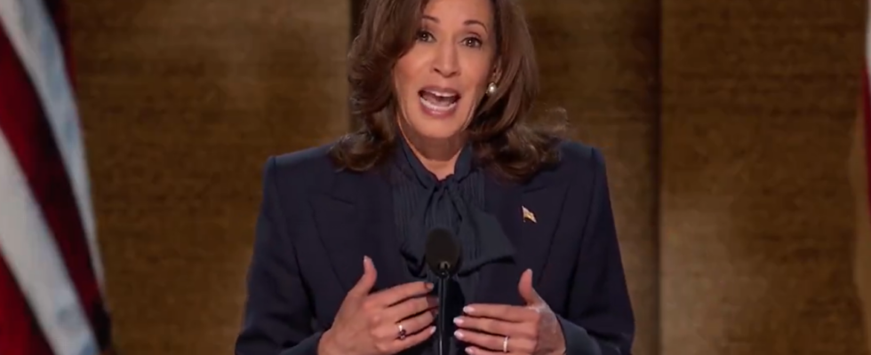 Kamala Harris nimmt offiziell die Nominierung der Demokraten an „Eine