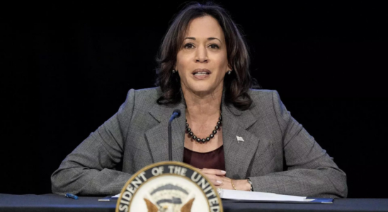 Kamala Harris‘ Preiskontrollplan vom ersten Tag an stoesst bei Konservativen