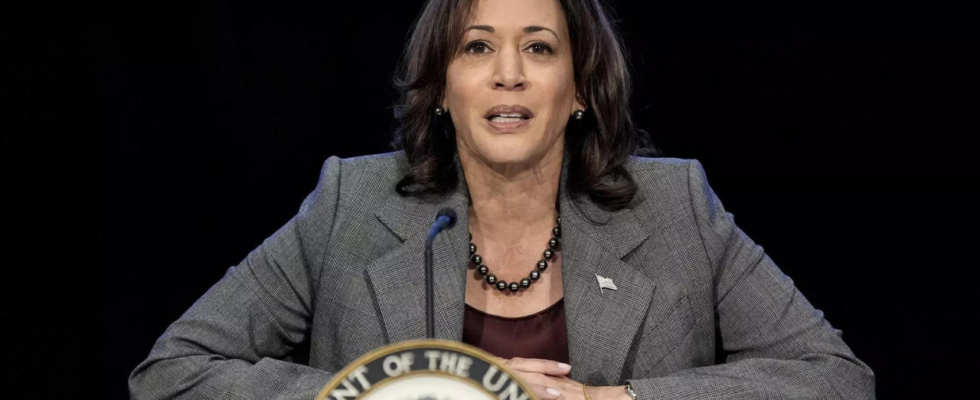 Kamala Harris‘ Preiskontrollplan vom ersten Tag an stoesst bei Konservativen