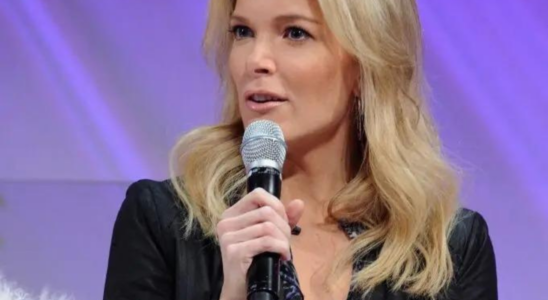 Megyn Kelly Megyn Kelly wird dafuer kritisiert dass sie sich