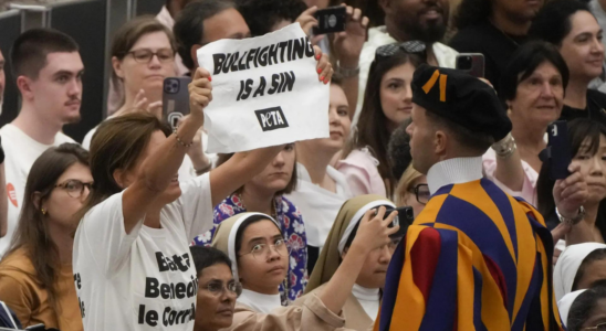 PETA Demonstranten unterbrechen Papst Franziskus‘ Audienz im Vatikan und fordern ihn