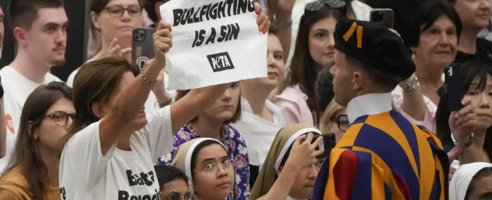 PETA Demonstranten unterbrechen Papst Franziskus‘ Audienz im Vatikan und fordern ihn