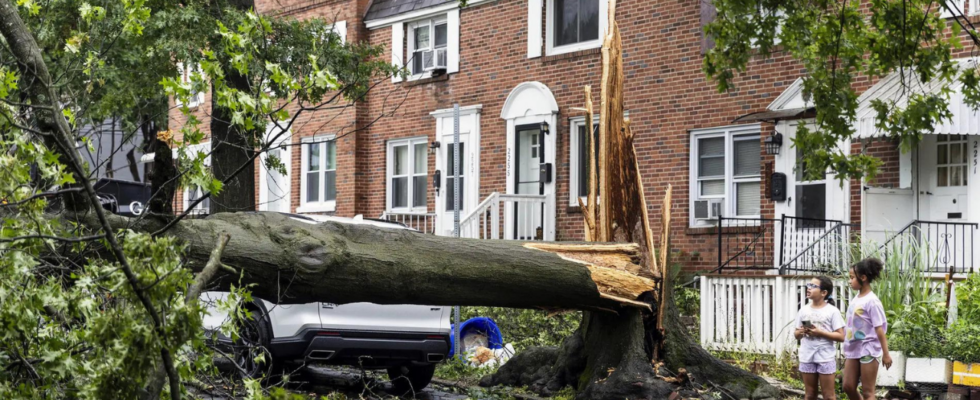 Tropischer Sturm Debby New York City erlebt leichten Regen und