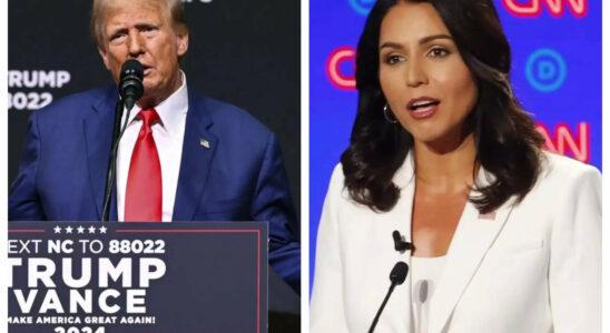 Tulsi Gabbard Donald Trump moechte mit Tulsi Gabbard bei der