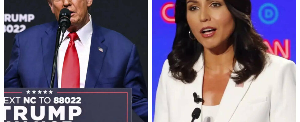 Tulsi Gabbard Donald Trump moechte mit Tulsi Gabbard bei der