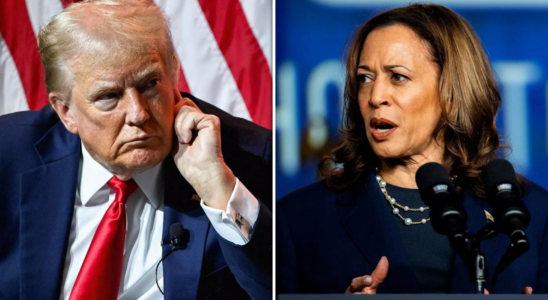 US Wahlen 2024 Die unterschiedlichen Ideologien von Trump und Kamala bieten