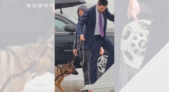 Weiss JD Vance ueberhaupt wie man mit einem Hund Gassi