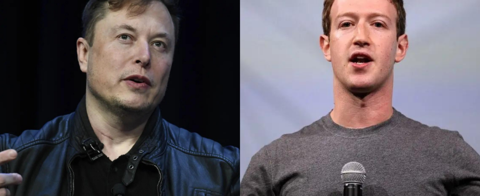 „Keine Verhaftung fuer Zuck da … Elon Musk greift Meta Gruender