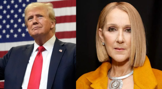 „Wirklich dieses Lied Celine Dion kritisiert Donald Trump fuer die