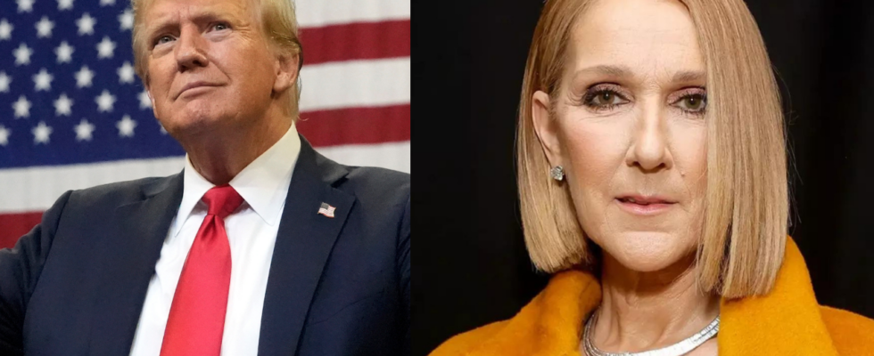 „Wirklich dieses Lied Celine Dion kritisiert Donald Trump fuer die