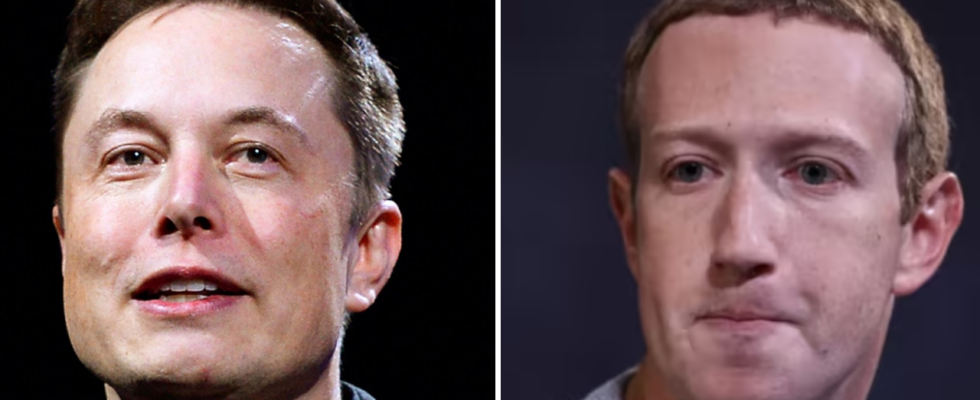 „Zuck ist ein kleiner Kerl Elon Musk nimmt die Herausforderung