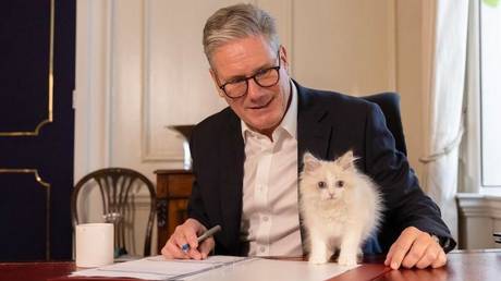 Britischer Premierminister wegen „russischer Katze verurteilt — World