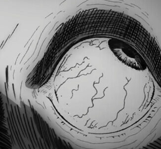 Der Spirale sei Dank sieht der Uzumaki Trailer von Adult Swim