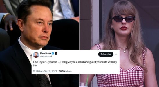 Die Vorwuerfe der sexuellen Belaestigung gegen Elon Musk werden ohne