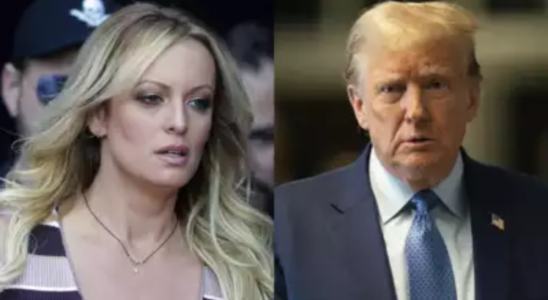 Donald Trump Stormy Daniels sagt Trump wollte nie Praesident werden