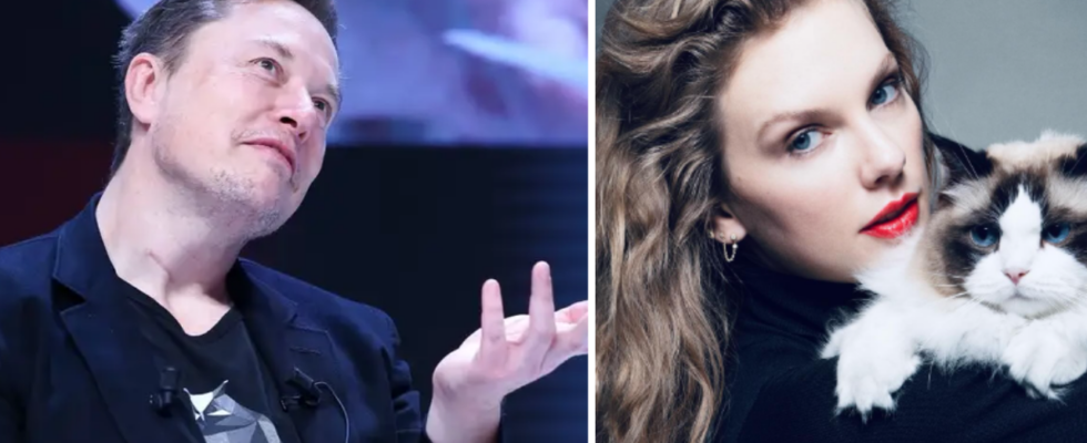 Elon Musk reagiert auf Taylor Swifts Unterstuetzung fuer Kamala Harris