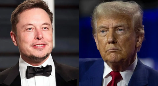 Elon Musk reagiert auf seine moegliche Rolle in der Trump Regierung