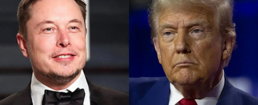 Elon Musk reagiert auf seine moegliche Rolle in der Trump Regierung