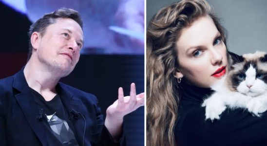 Elon Musks Tochter nennt Vater „abscheulich weil er Taylor Swift