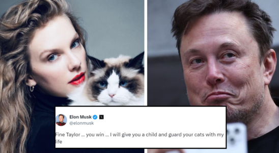 Empoerung in den sozialen Medien Elon Musks Angebot Taylor Swift