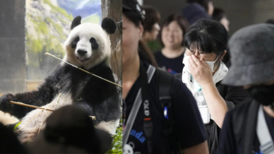 Japanische Fans verabschieden sich vor ihrer Rueckkehr nach China vom