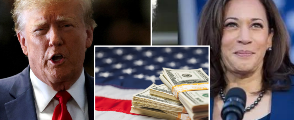 Milliardaere als Spender im US Praesidentschaftswahlkampf 2024 Wie Trumps und Harris‘