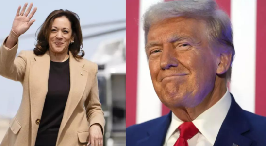 NYT Umfrage Trump Harris Trump und Harris liegen in NYTSienna Umfrage Kopf