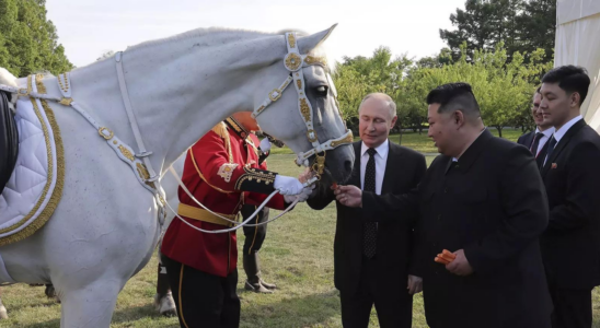 Putin schenkt Kim Jong un 24 Pferde im Tausch gegen Artilleriegranaten