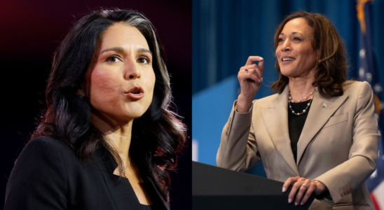 Trump Harris Debatte Tulsi Gabbard sagt Kamala Harris nehme extremen Schauspielunterricht „Sie.p