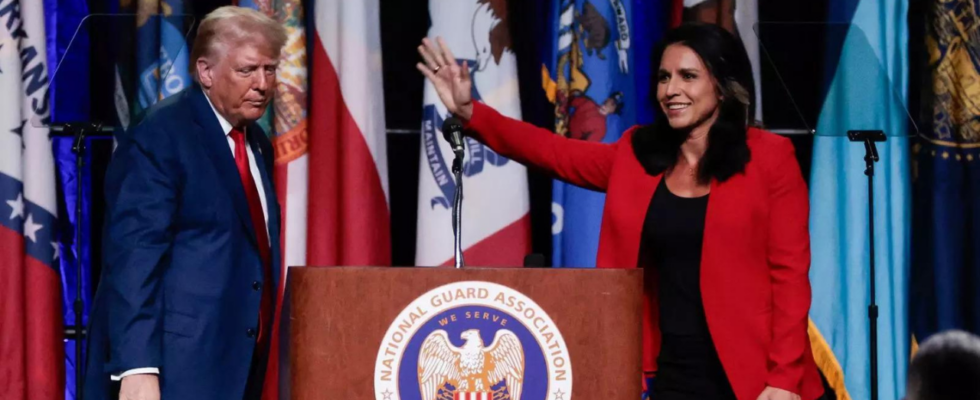 Tulsi Gabbard Als Tulsi Gabbard enthuellte wer tatsaechlich die US Regierung