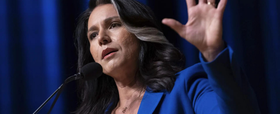 Tulsi Gabbard Kamala Harris Tulsi Gabbard sagt Dick Cheney habe